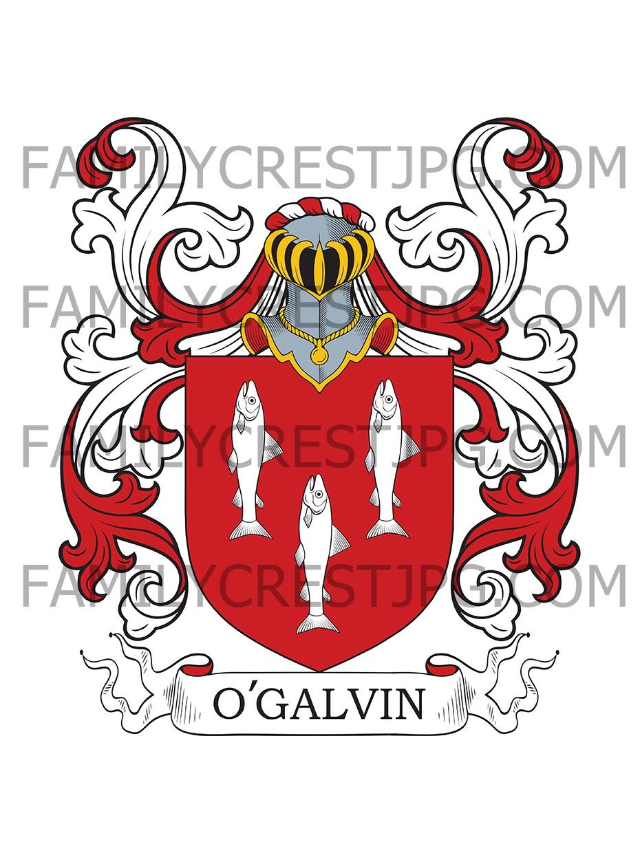 Galvin Family Crest