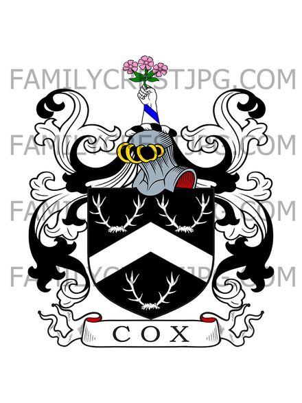 Cox Family Crest - Ireland