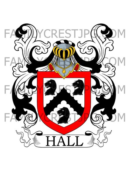Hall Family Crest - Spalding, co. Lincoln, England