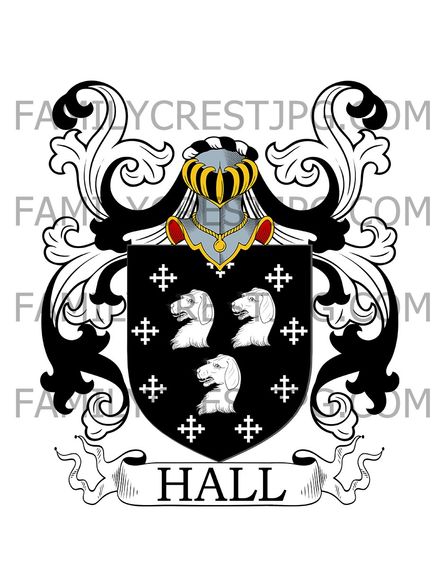 Hall Family Crest - Bristol &amp; Worcester, England