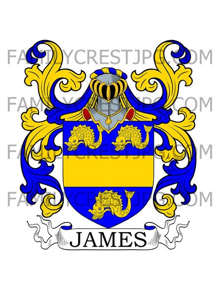 James Family Crest - Dorset, England