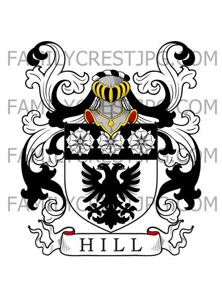 Hill Family Crest - London, England