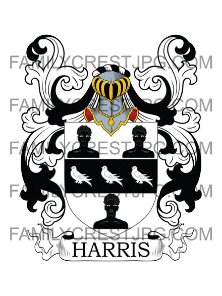Harris Family Crest - Cheshire &amp; Devon, England