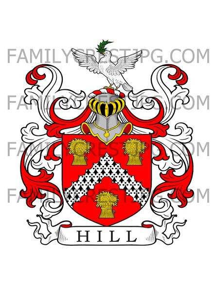 Hill Family Crest - Taunton, co. Somerset, England