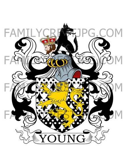 Young Family Crest - Kingerby, co. Lincoln, England