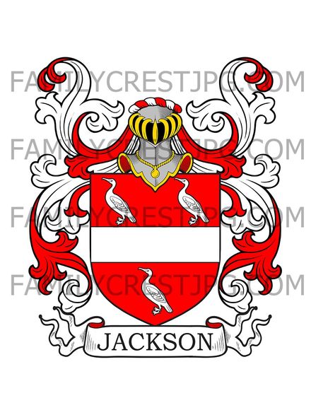 Jackson Family Crest - Newcastle-on-Tyne, co. Northumberland, England
