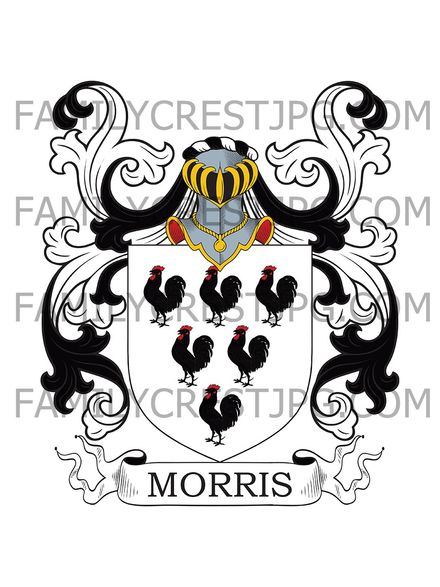 Morris Family Crest - Herefordshire, England