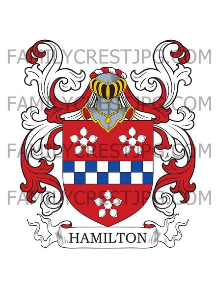 Hamilton Family Crest - Dublin, Ireland