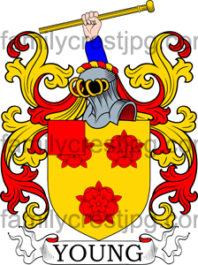 Young Family Crest, Young Coat of Arms