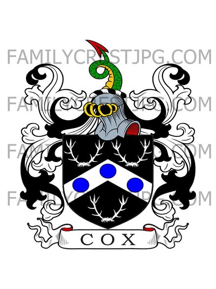 Cox Family Crest - Dublin, Ireland