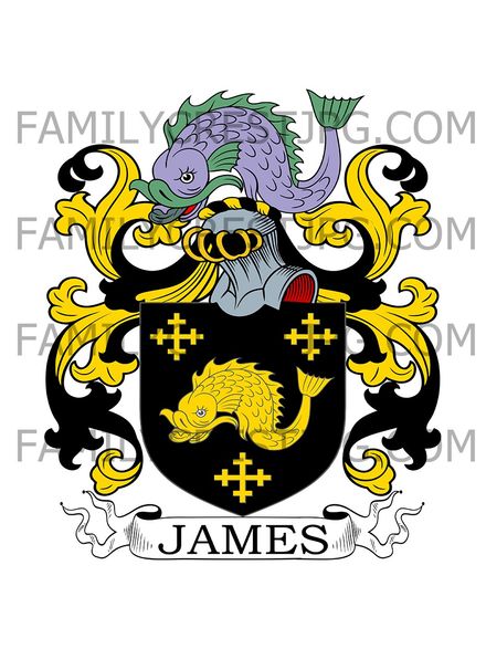 James Family Crest - Barrow Court, co. Somerset