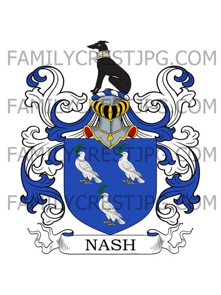 Nash Family Crest - Kilkenny, Ireland