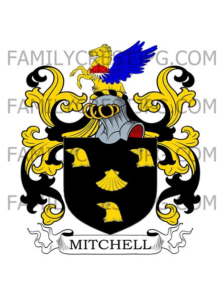 Mitchell Family Crest - Truro, co. Cornwall, England