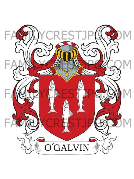 Galvin Family Crest