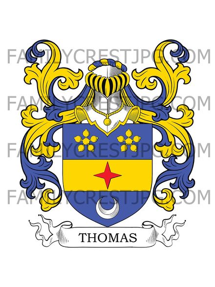 Thomas Family Crest - Bourgogne, France