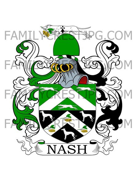 Nash Family Crest - The Noak, Martley, co. Worcester, England