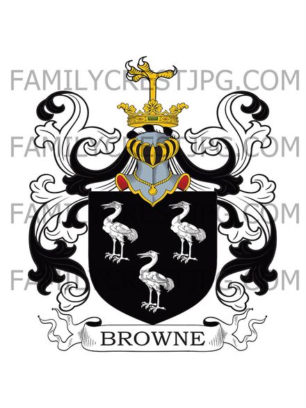 Browne Family Crest - Norwich, co. Norfolk, England