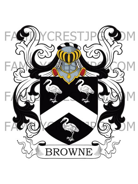 Browne Family Crest - Dublin, Ireland
