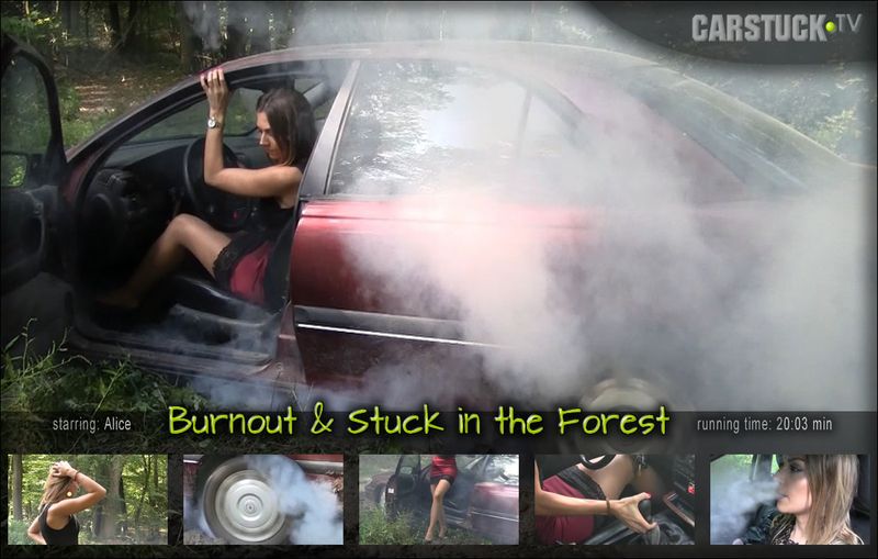 Burnout Stuck in the Forest