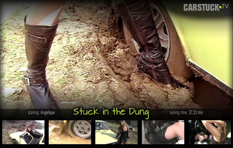 Stuck in the Dung