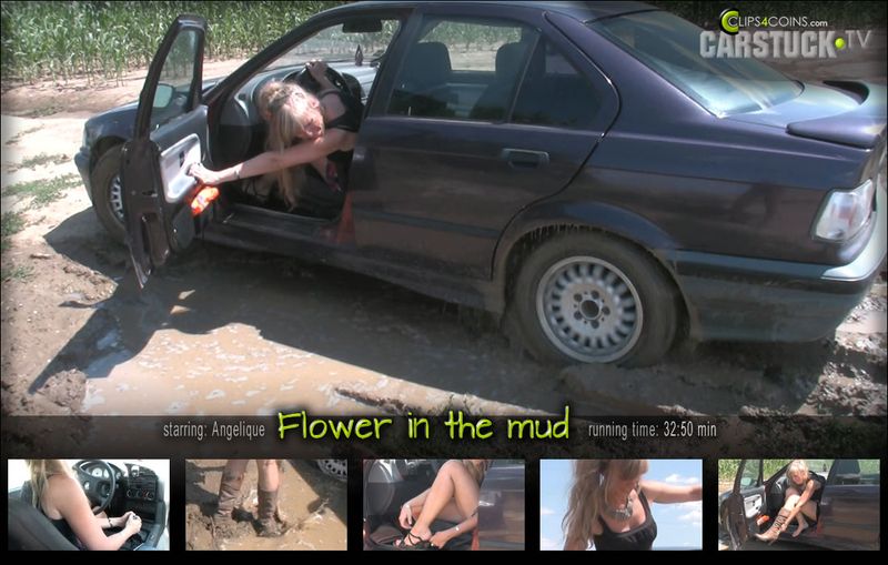Flower in the Mud