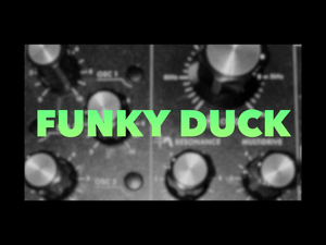 Synth Bass Funky Duck