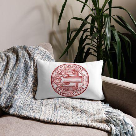 Pillow case 12x20, St. Benedict Medal, filt5a design, red