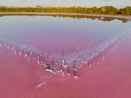 Pink Lake, Dimboola, Victoria