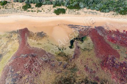 Red Rock Beach, Phillip Island, Victoria
