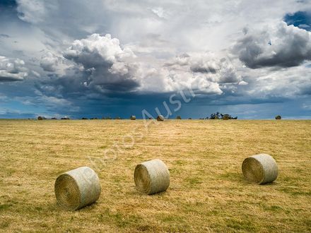Farmland, Mount Franklin, Central Victoria
