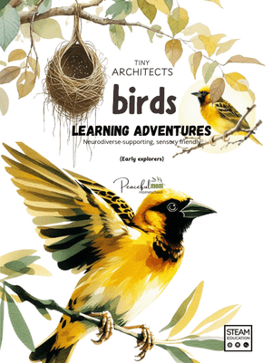 Tiny Architects: Birds     (RELEASE DATE January 31, 2026)  click to learn more!