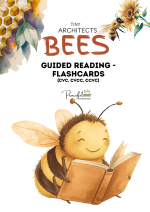 Bee Study: Guided Reading Flashcards Pack
