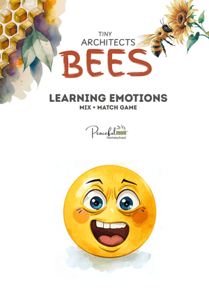 Tiny Architects: Bees_Emotions matching game