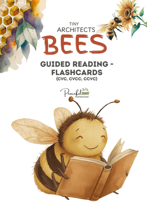 Bee Study: Guided Reading Flashcards Pack