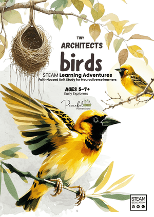 Tiny Architects: Birds (Early Explorers ages 5-7+) 285 pages interactive learning!