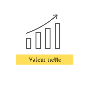 Outil de calcul et de suivi de la valeur nette