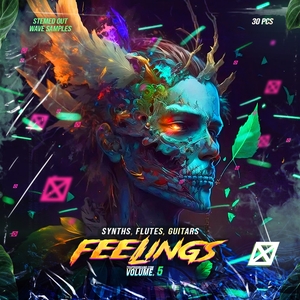 FEELINGS Vol. 5 synths / guitars / flutes / WAVE