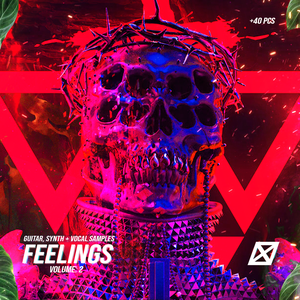 FEELINGS Vol. 2 guitar + vocal + synths WAVE