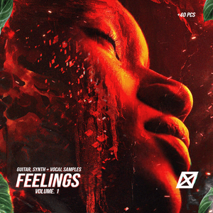 FEELINGS Vol. 1 guitar + vocal + synths library WAVE