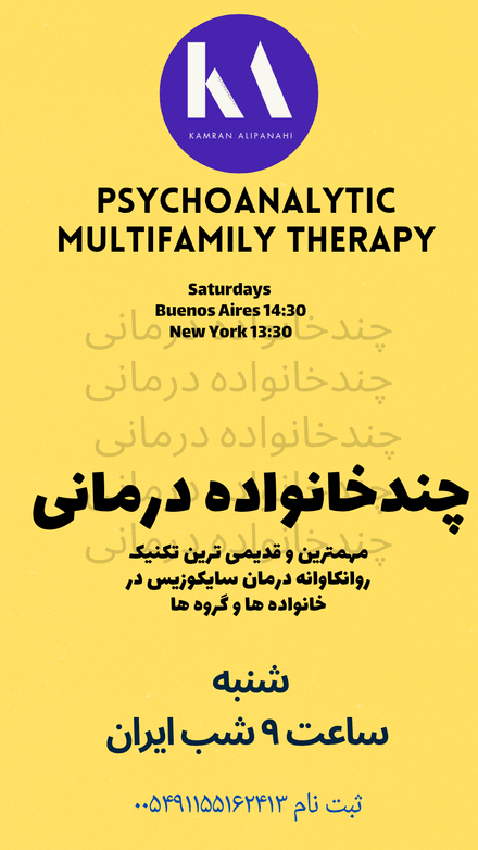 Multiple Family Therapy sessions 