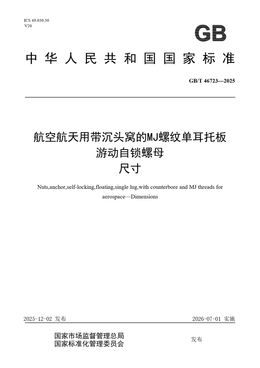 Chinese Standard: GB/T 46723-2025