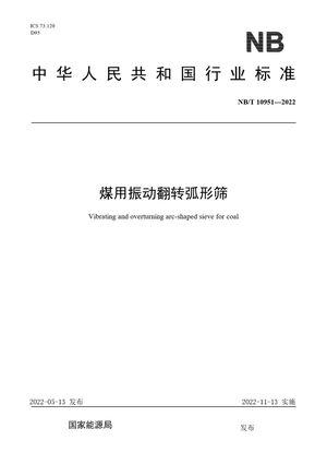 Chinese Standard: NB/T 10951-2022