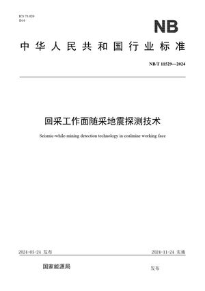 Chinese Standard: NB/T 11529-2024