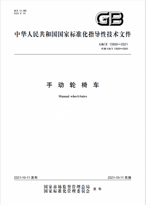 Chinese Standard: GB/Z 13800-2021