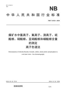 Chinese Standard: NB/T 11533-2024