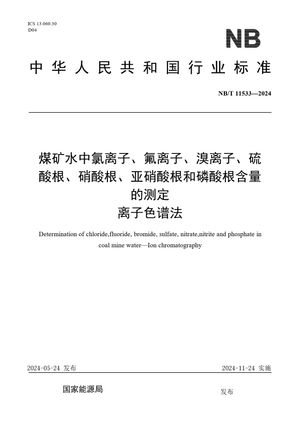 Chinese Standard: NB/T 11533-2024