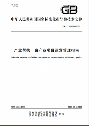 Chinese Standard: GB/Z 42962-2023