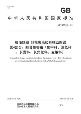 Chinese Standard: GB/T 37719.4-2024