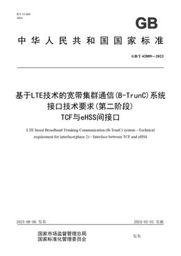 Chinese Standard: GB/T 42889-2023