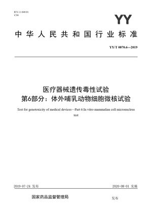 Chinese Standard: YY/T 0870.6-2019